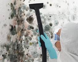 Best Mold Removal for HVAC Installations  in Silver Lakes, CA